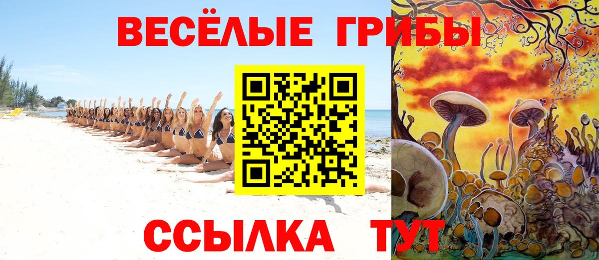 Псилоцибиновые грибы Psilocybe Сердобск