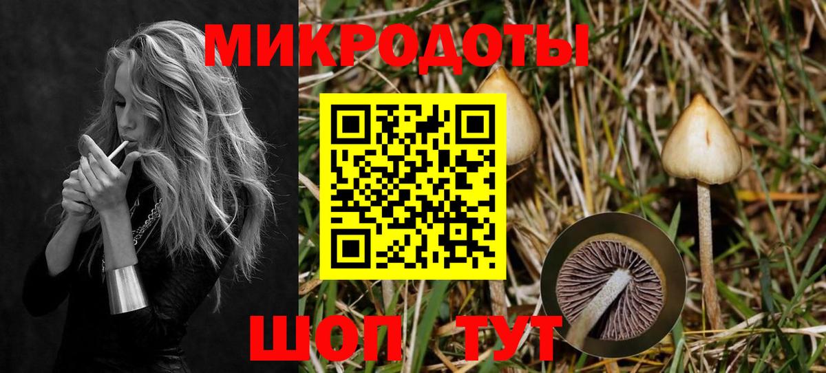 Сердобск  Псилоцибиновые грибы Magic Shrooms  Вход с VPN 